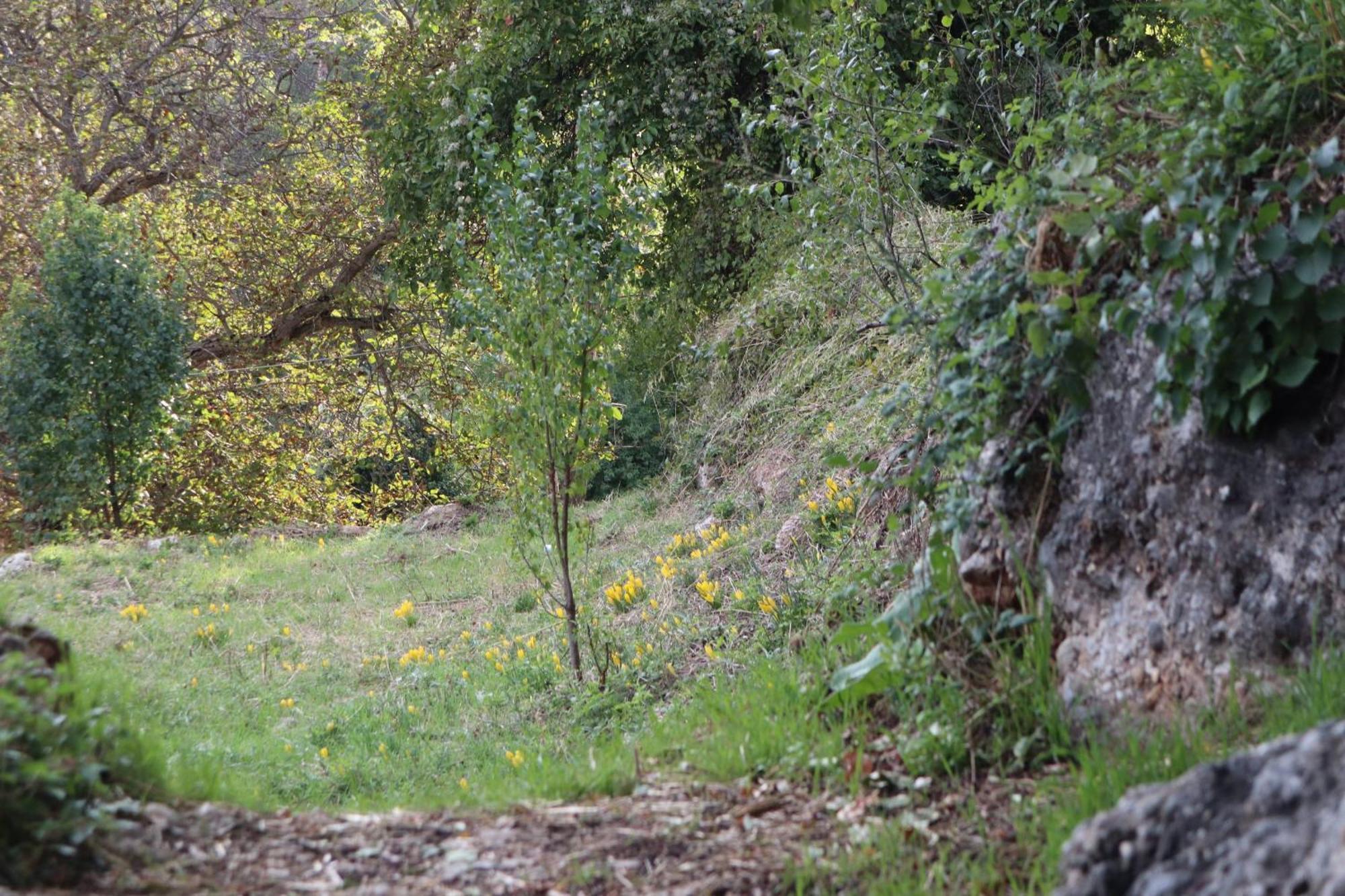 Μικρή Ζήρεια Ενοικιαζόμενη Κατοικία Синикия-Меси-Трикала Экстерьер фото